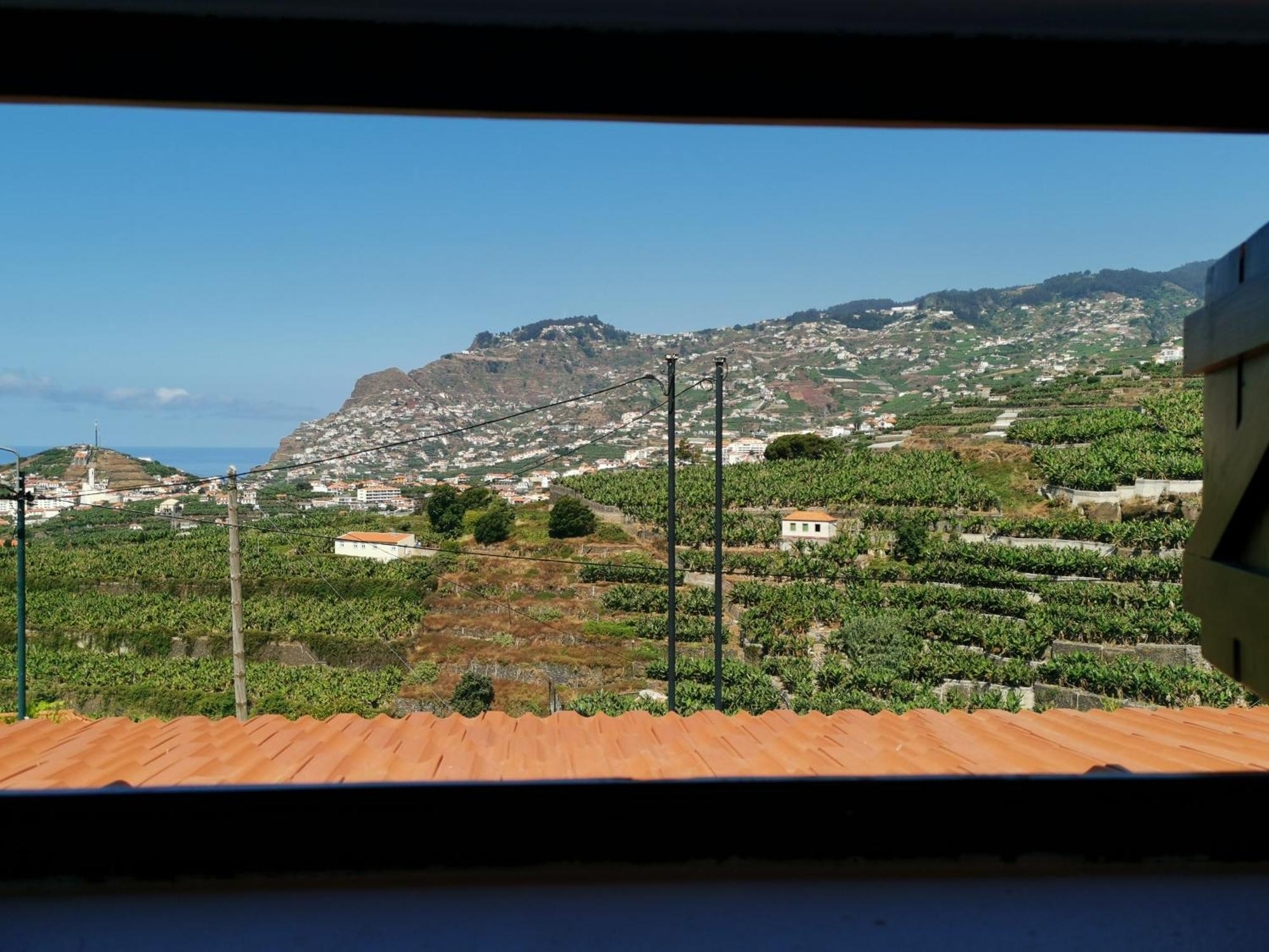 Villa Nova Madeira In Funchal Casa A And B Chambre photo